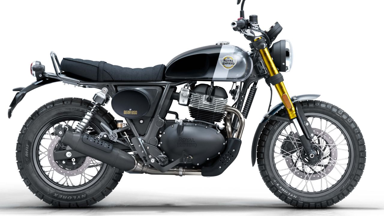Bear 650